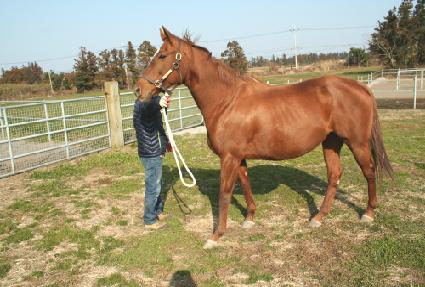 ���̺��帵�� ����