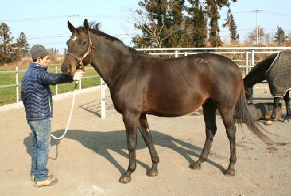 ���̽ù̴Ͻ��� ����