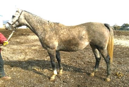 ������Ʈ�޼� ����