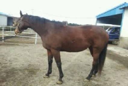 Ÿ���� ����