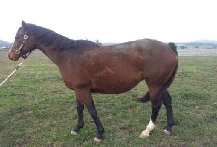 ��������� ����