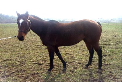 ���ɽ� ����