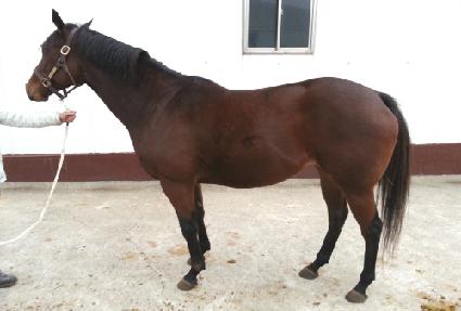 �������� ����