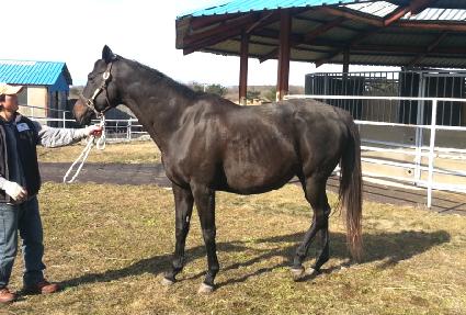 �Ϲ��� ����