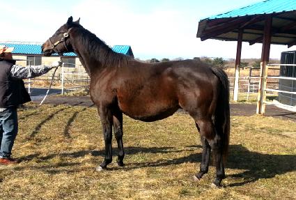 ĵƮ������Ʈ ����