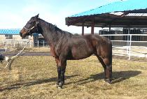 CASUAL ATTITUDE picture