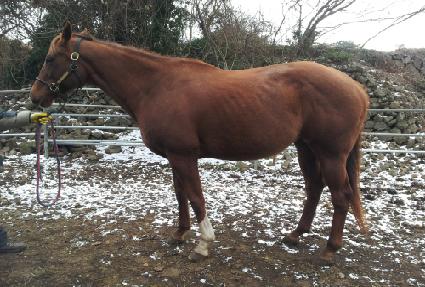 ����Ŭ���� ����