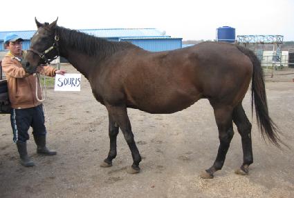 ���� ����