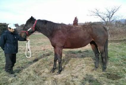 ��ú����� ����