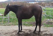 PROPER NIGHT picture