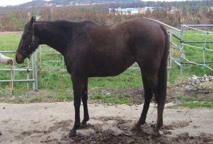 �����۳���Ʈ ����