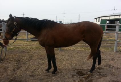 ��ũ���� ����