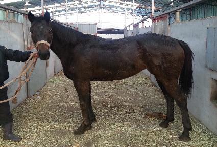 Űư�������̵� ����