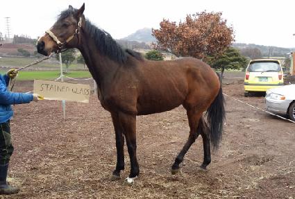 �����ε�۶� ����