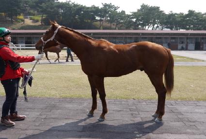 ť�ǵ庸�� ����