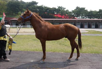 ������Ϸ��� ����