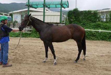 �ӽ��ʼ� ����