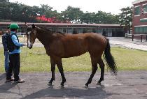 �����̾� (JANGSAN LION) ����