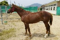 Ÿ������Ӵ� (TIME IS MONEY) ����