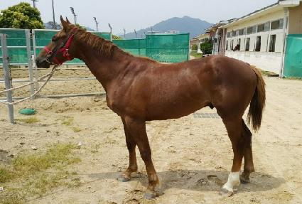 Ÿ������Ӵ� ����