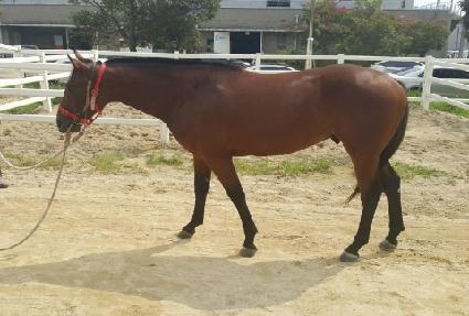 ��º�Ʈ�� ����