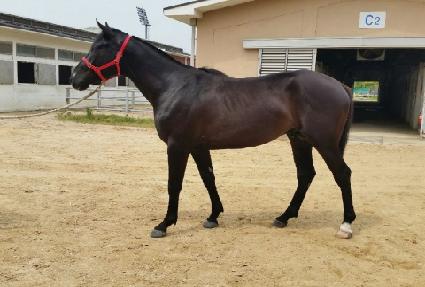 ����¡������ ����