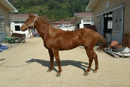 ������ ����