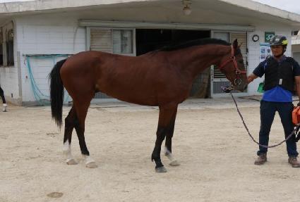 ��õ���� ����