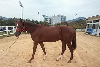 ����Ʈŷ ����