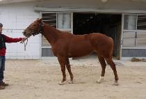 ��Ƽ�Ŀ� (PARTY POWER) ����