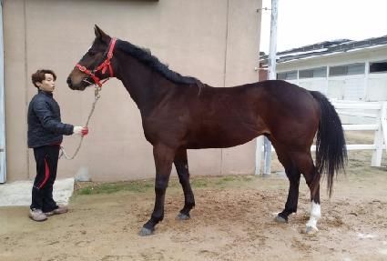 ����� ����