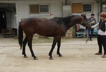 ������ ����