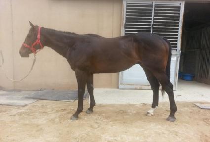 ���ν����� ����