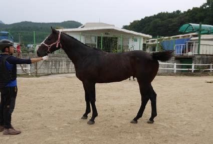 ����Ƽ���� ����