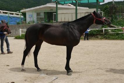 ��Ϲ��ʹϳ� ����