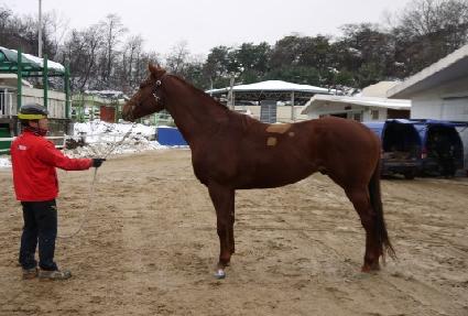 �������̳� ����