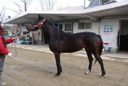 ����ȵ� ����