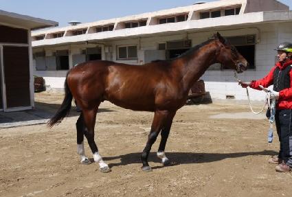 ����ǵ� ����