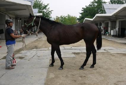 ������� ����