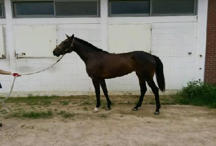 ŷ���� ����