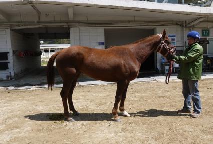 ��׽ô��� ����