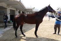 �����ǰ��� (JINNYEONGUI GEOIN) ����