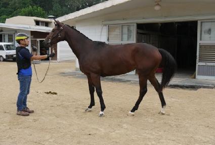 ���ǵ��ھ� ����