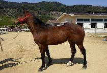 �ٷΰ� (BAROGA) ����