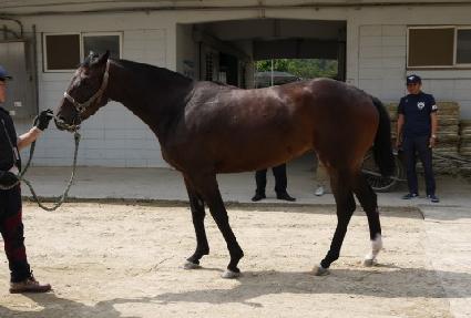 ��Ǫ������ ����