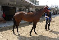 ũ�ν��� (CROSS ZONE) ����