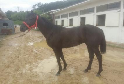 ���Ǻν��� ����