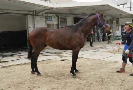 ��õ���� ����