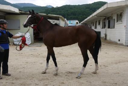 ���̽����� ����