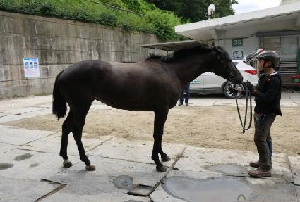 ����ų�� ����